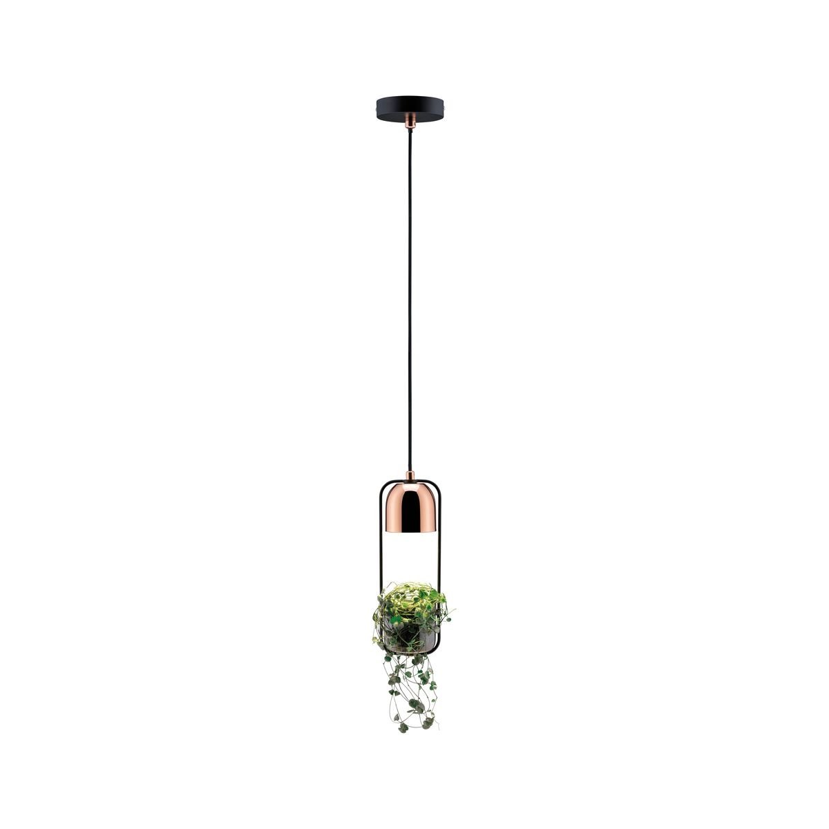 Paulmann Neordic lampă suspendată 1x20 W negru-cupru 79749