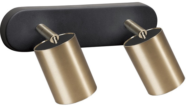 Nowodvorski Lighting Eye Spot plafonier 2x10 W negru-alamă 8817