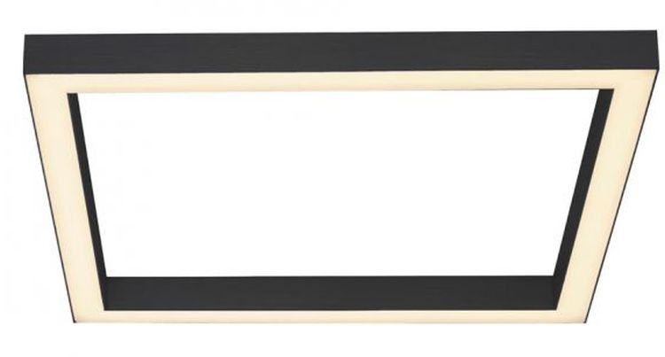 Paul Neuhaus Pure-Lines plafon 1x29 W gri 6022-13