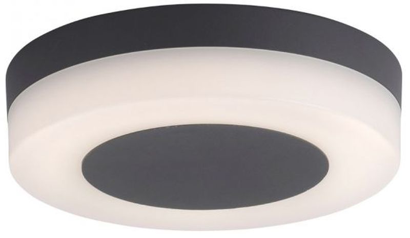 Paul Neuhaus Fabian plafoniera de exterior 1x12.6 W antracit 949013