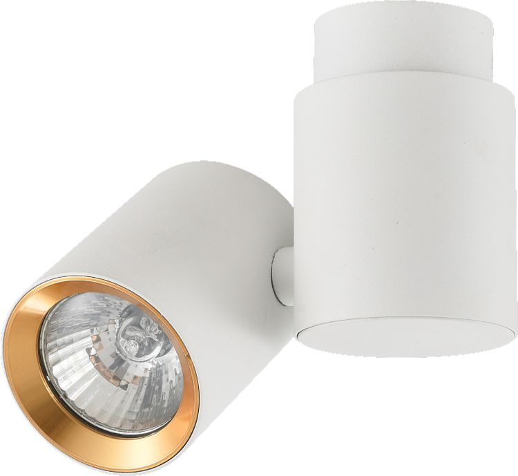 Light Prestige Boston lampă de tavan 1x50 W alb-auriu LP-741/1WWH/GD