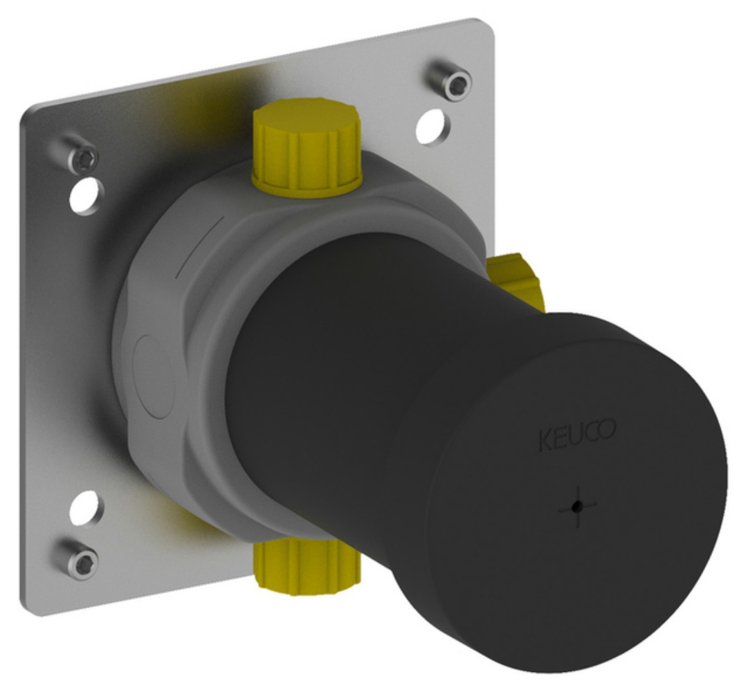 Keuco element ascuns al bateriei 59556000070