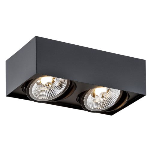 Argon Rodos Plus lampă de tavan 2x12 W negru 1049BZ