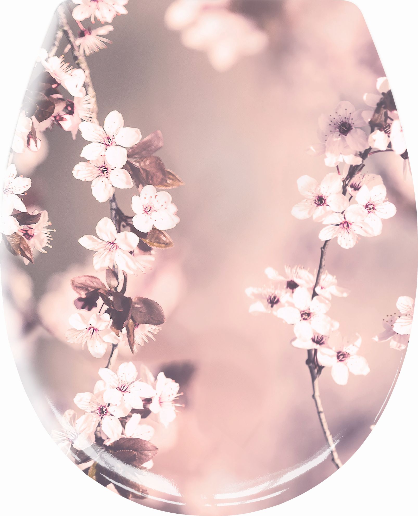 Kleine Wolke Blossom capac wc SoftClose 1857401075