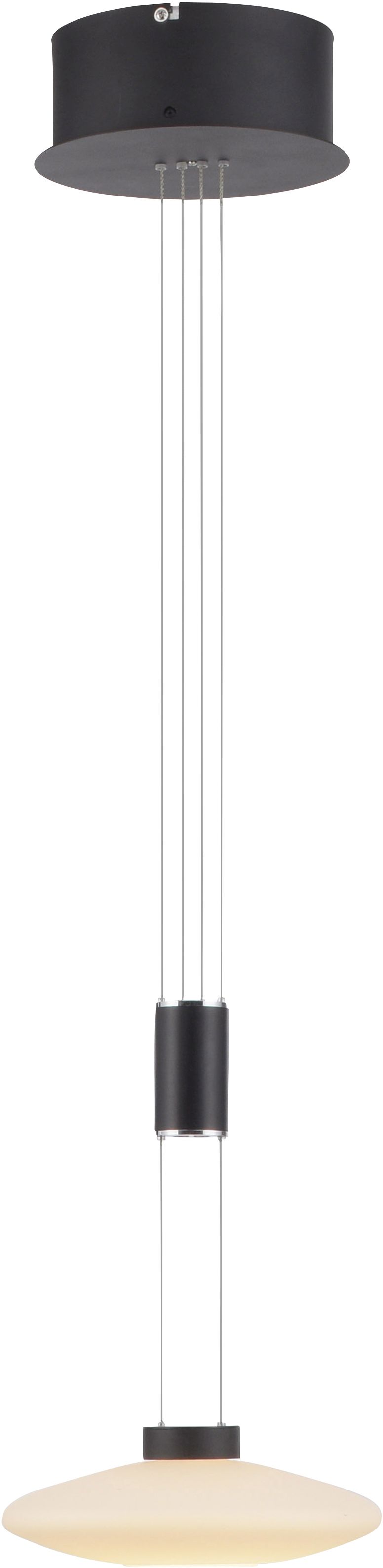 Paul Neuhaus Lautada lampă suspendată 1x7.5 W negru 2080-18