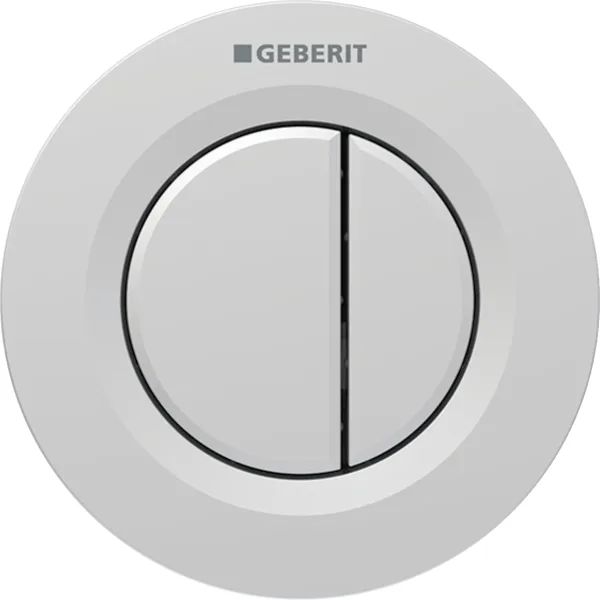 Geberit Typ 01 buton de spălare pentru WC crom mat 116.043.JQ.1