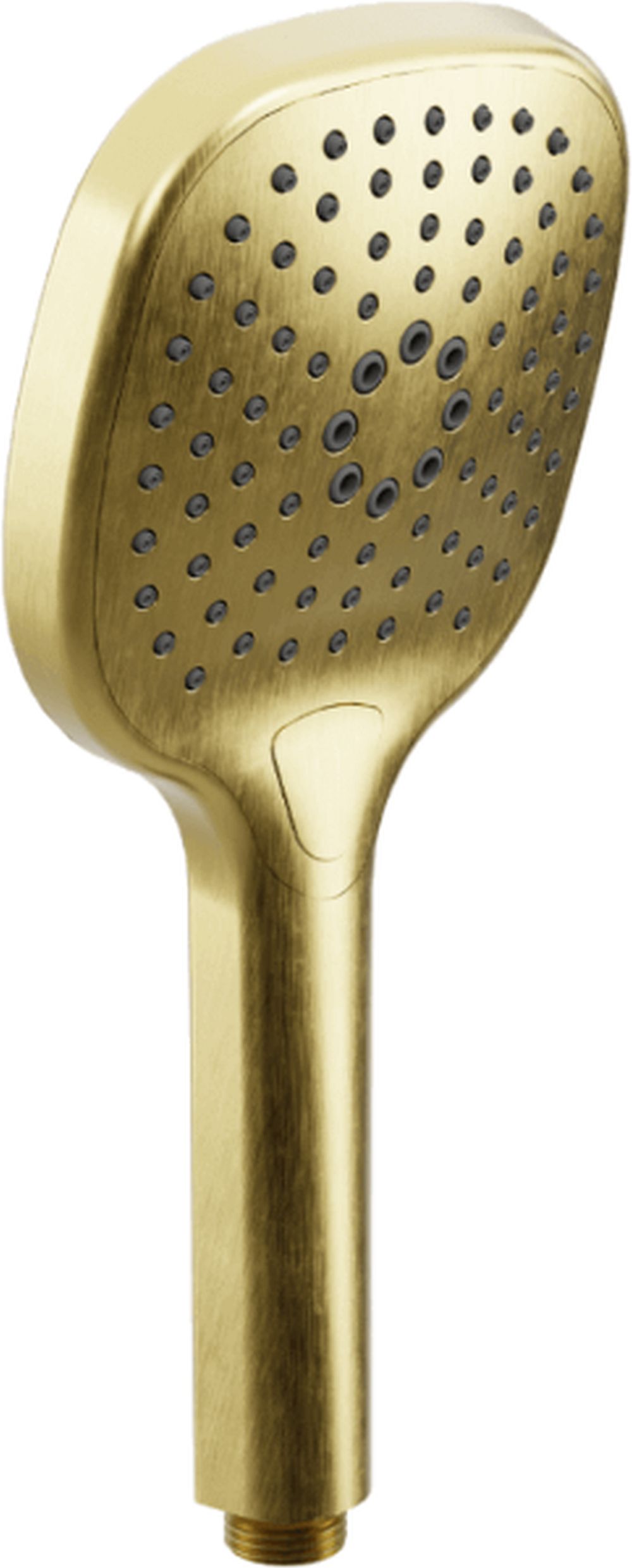 Excellent Auris duș de mână auriu AREX.SH.100GB