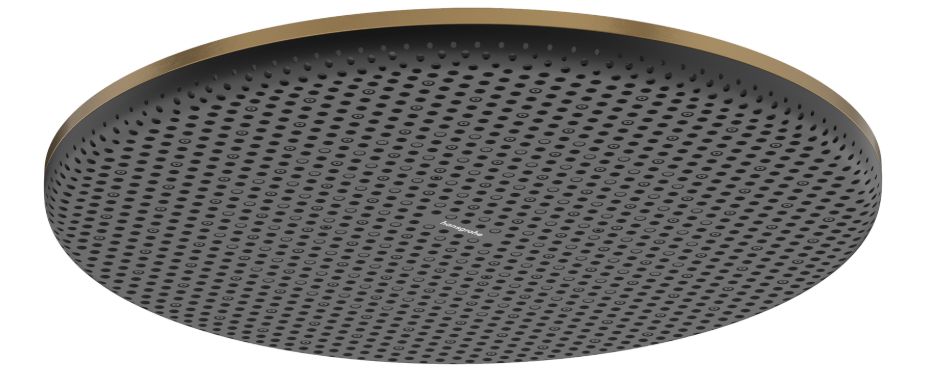 Hansgrohe Raindance Alive S cap de duș 30x30 cm rotund || 24520140