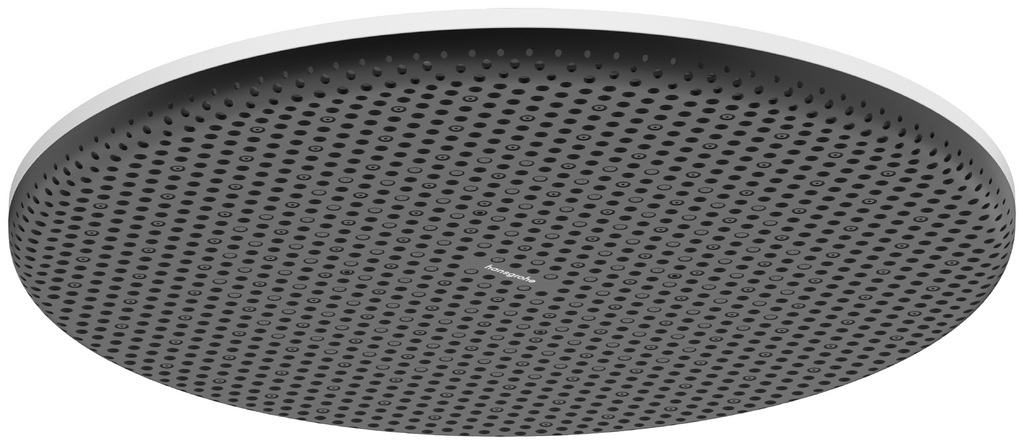 Hansgrohe Raindance Alive S cap de duș 30x30 cm rotund alb 24521700