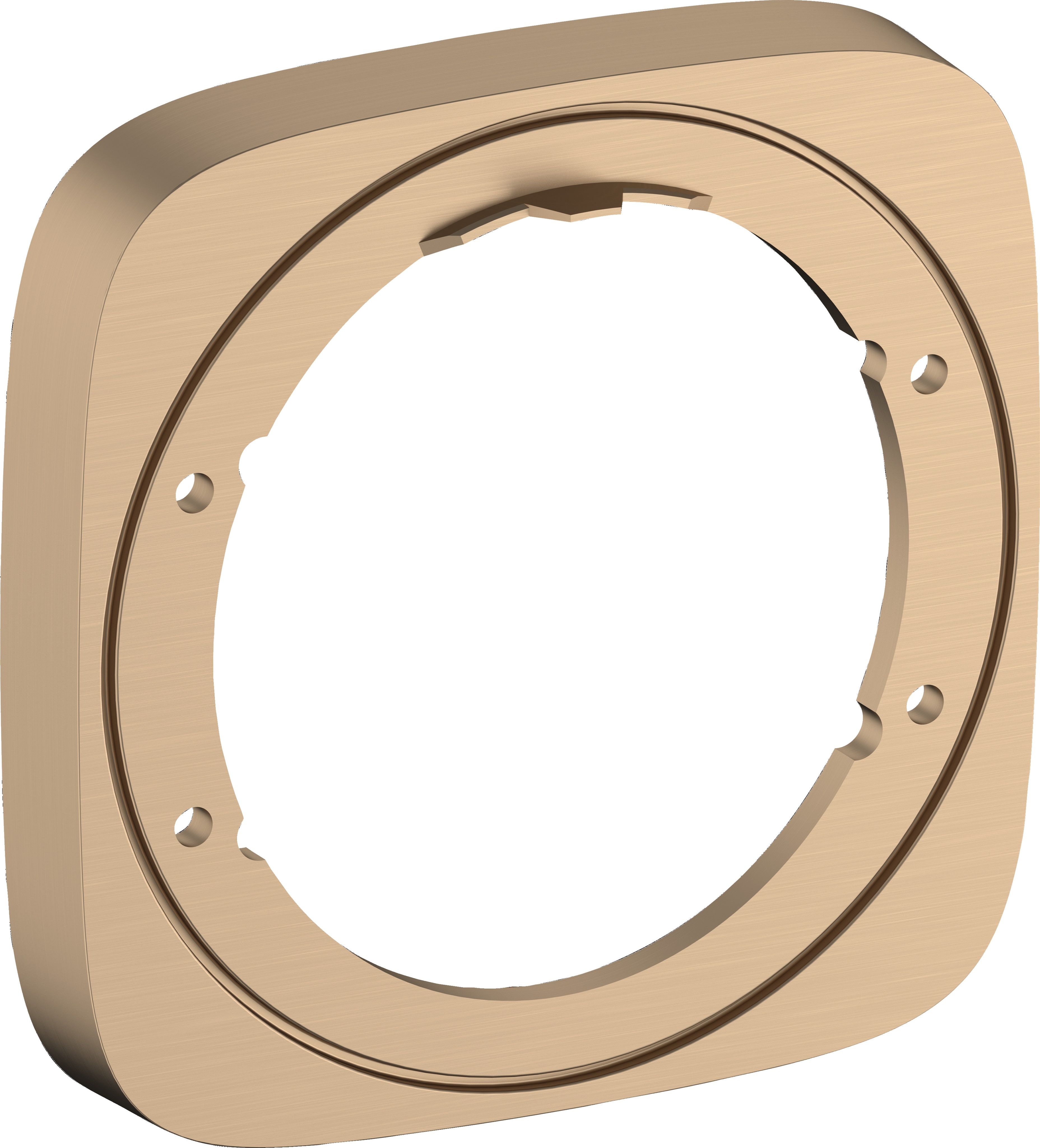 Hansgrohe element extensie baterie 15597140