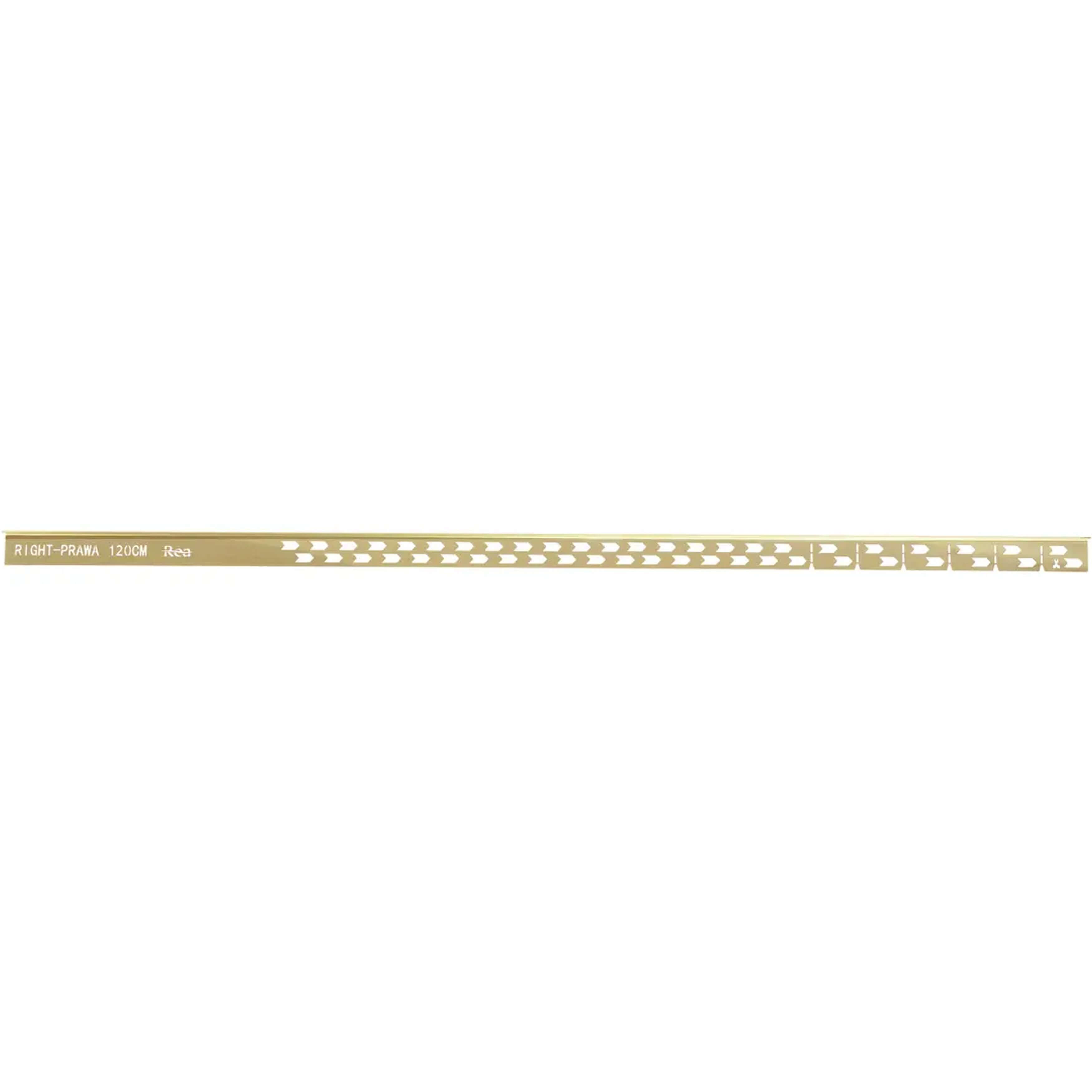 Rea plintă în pantă pentru scurgere liniară 120 cm auriu REA-K3206