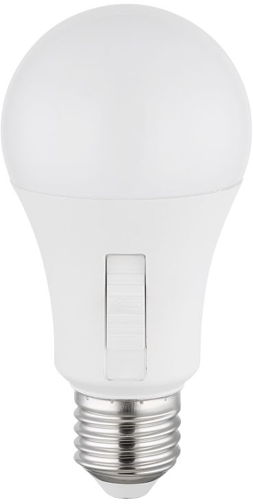 Globo Lighting Bulb bec cu led 1x9 W K E27 10615