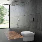 Set vas WC Oltens Gulfoss 42503000, capac WC Oltens Gulfoss 45106000