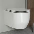 Set vas WC Oltens Holsted 42016000, capac WC Oltens Holsted 45112000