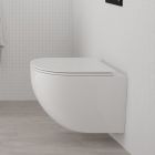 Set vas WC Oltens Hamnes 42024000, capac WC Oltens Hamnes 45111000
