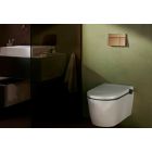 Set buton de spălare Hansgrohe Element E 66003140, vas WC Hansgrohe EluPura S 60193450, 01022180, 60148450