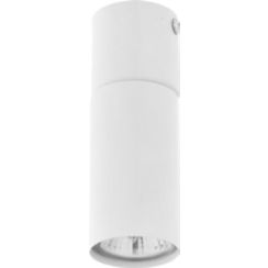 TK Lighting Logan lampă de tavan 1x10 W alb 4421