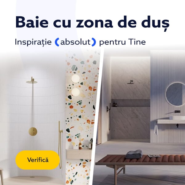 Baie cu zona de duș