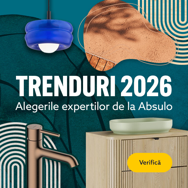 Alegerile expertilor de la Absulo